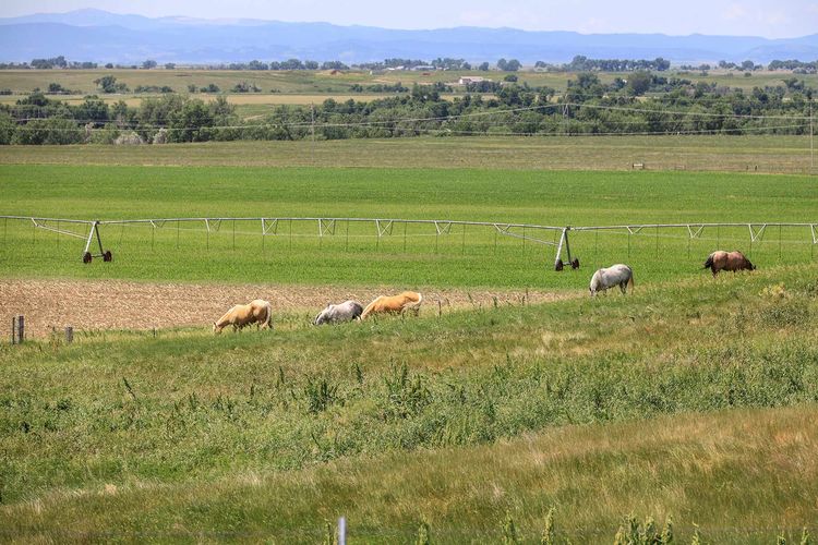 / BISMARCK TRAIL RANCH for sale in Vale, S...